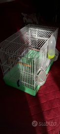 Gabbia per canarini/cocorite