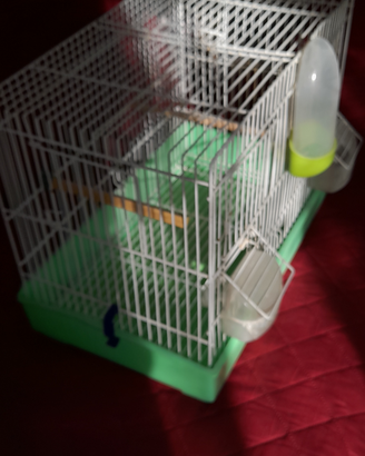 Gabbia per canarini/cocorite