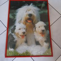 Puzzle cani incorniciato 