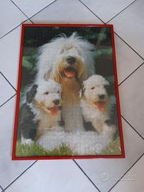 Puzzle cani incorniciato 