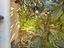 Immagine 27