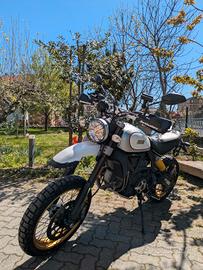 ducati scrambler Desert Sled 