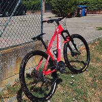 Ducati bianchi 210 sx 