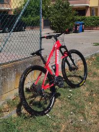 Ducati bianchi 210 sx 