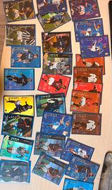 Football champions varie annate