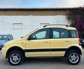 FIAT PANDA 1.2 4x4 Climbing