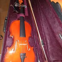 Violino
