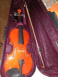 Violino