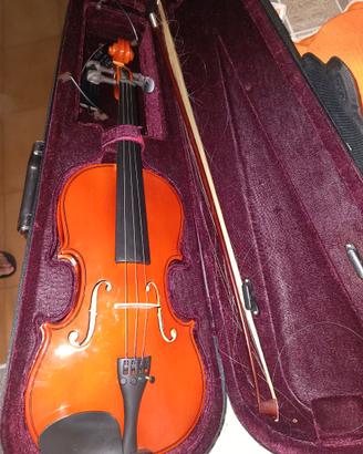 Violino