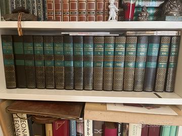 Enciclopedia Rizzoli Larousse volumi da I a XIX