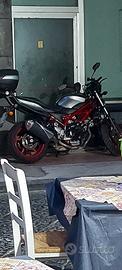 Suzuki 650 sv  anno 2019