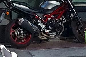 Suzuki 650 sv  anno 2019