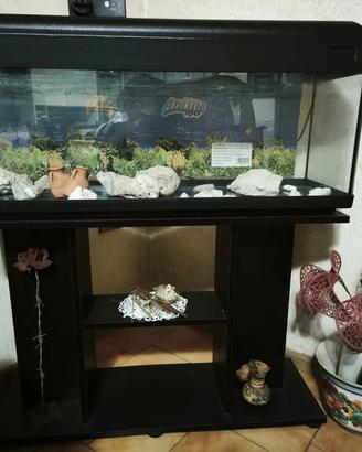 Acquario Antille 100 con mobile