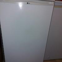minifrigo Lg