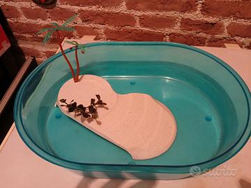 vaschetta tartarughe