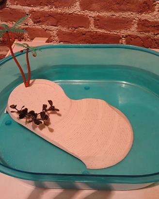 vaschetta tartarughe