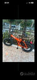 Bici elettrica