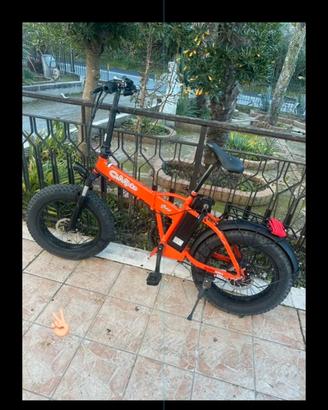 Bici elettrica