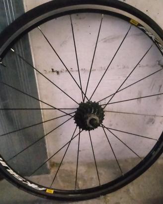 Cerchio per bici da corsa 