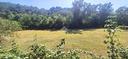 ter-agricolo-a-trescore-balneario