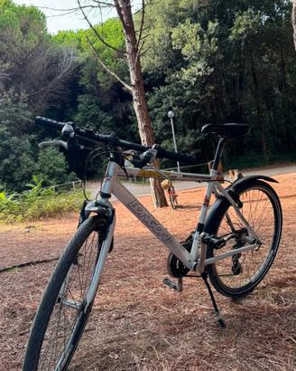 Mountain bike usata