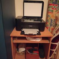 Stampante Canon pixma