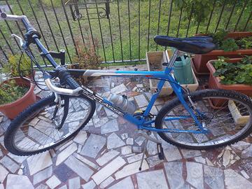 bicicletta mountain bike