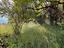 Immagine 28