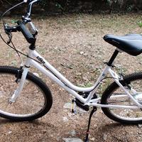 e-bike Milanobike