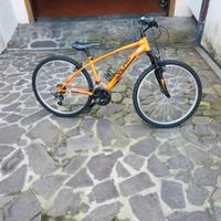 bicicletta ragazzo