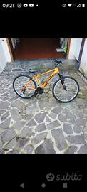bicicletta ragazzo