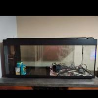 Acquario 