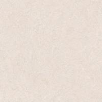 PAVIMENTI E RIVESTIMENTI IN GRES PORCELLANATO