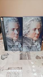 cd musicale