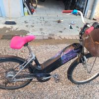 Bicicletta elettrica