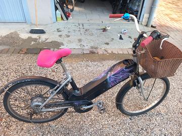Bicicletta elettrica