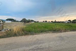 Quartu Sant'Elena: terreno agricolo di 1880mq