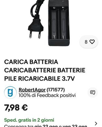 carica batterie 