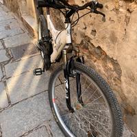 Bicicletta mtb 26
