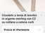 Immagine 6