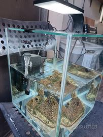 Acquario + accessori 
