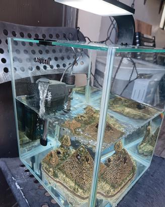 Acquario + accessori 
