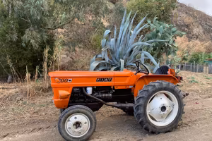 Fiat 300