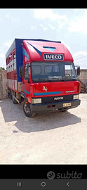 Iveco 50