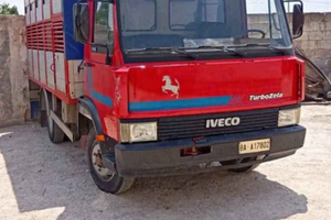 Iveco 50
