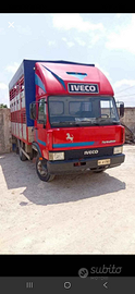 Iveco 50