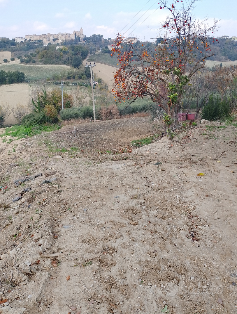 Terreno Agricolo - Altro