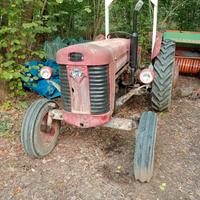 Massey Ferguson 165