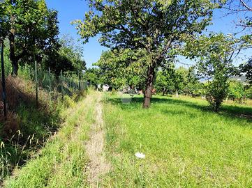 TER. AGRICOLO A NOCERA SUPERIORE