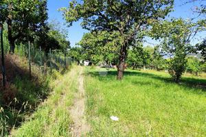 TER. AGRICOLO A NOCERA SUPERIORE